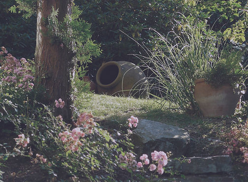 Tranquil Garden Scene