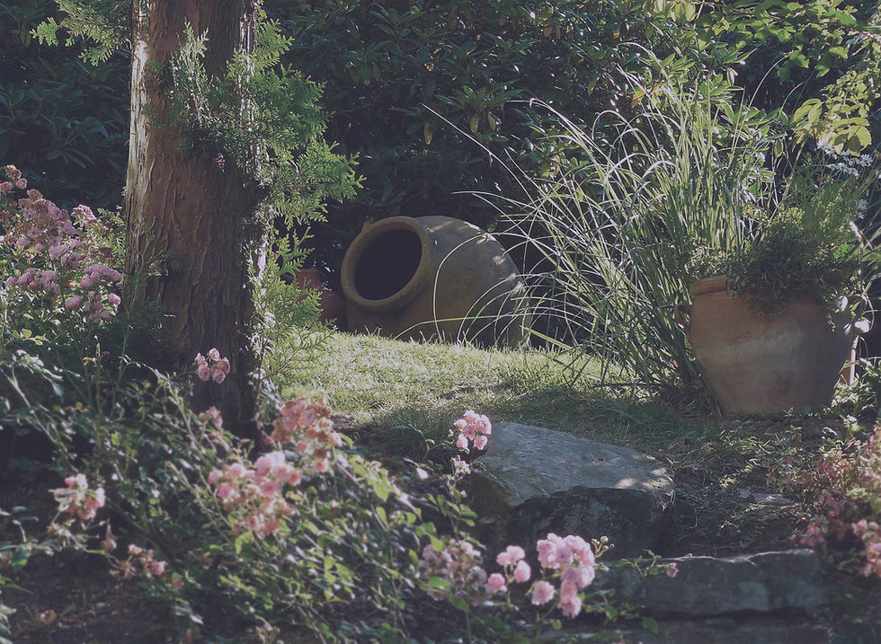 Tranquil Garden Scene