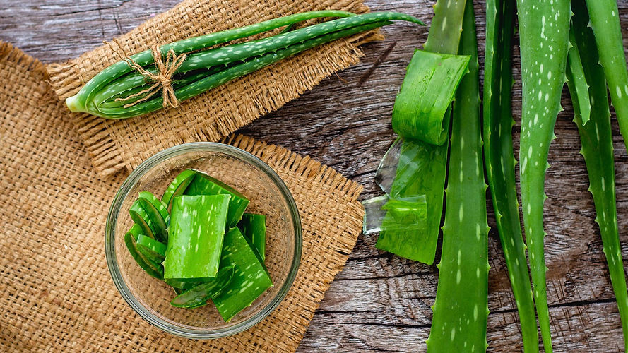 aloe vera.jpg