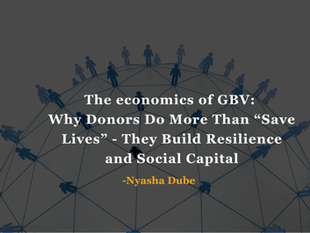 The economics of GBV: Why Donors Do More Than “Save Lives” - They Build Resilience and Social Capital