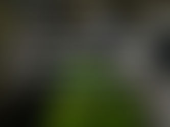 In the Shadows of Gold: How the Resource Curse Fuels Gender-Based Violence in Zimbabwe’s Mining Communities