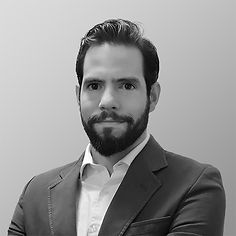 Project Manager