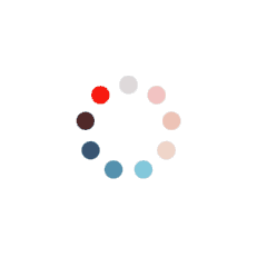 Spinner-1.2s-231px.gif