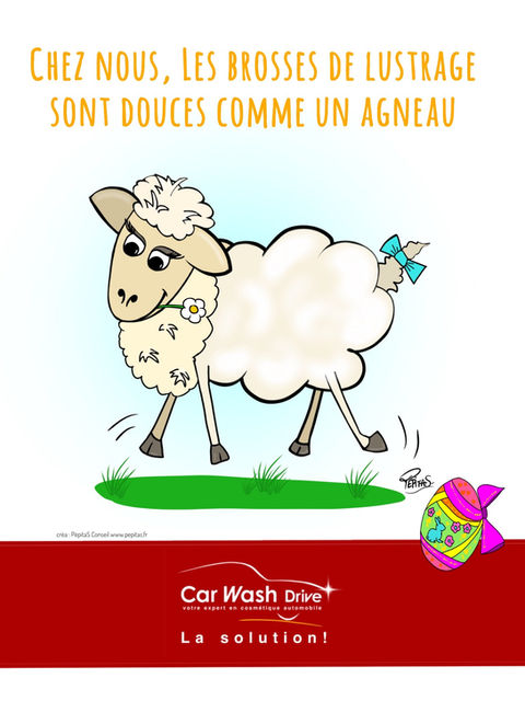 PépitaS X Car Wash Drive