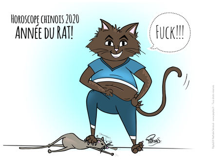PépitaS’s Cat : horoscope chinois 2020, année du Rat ou pas…!