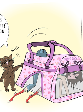 PépitaS©, « chat fait mal le vaccin? »