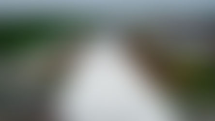 Initiating and securing a mural for the Strandherd underpass near Clarke Fields