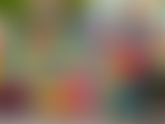 Ottawa to mull restricting protests outside 'vulnerable' institutions