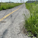 Greenbank Multiuse Pathway Updates