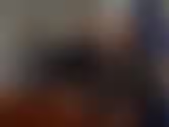 Addressing Auto Thefts at Police Board Meeting