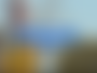 2 Ottawa police officers left with serious injuries after cruiser struck by suspected stolen car