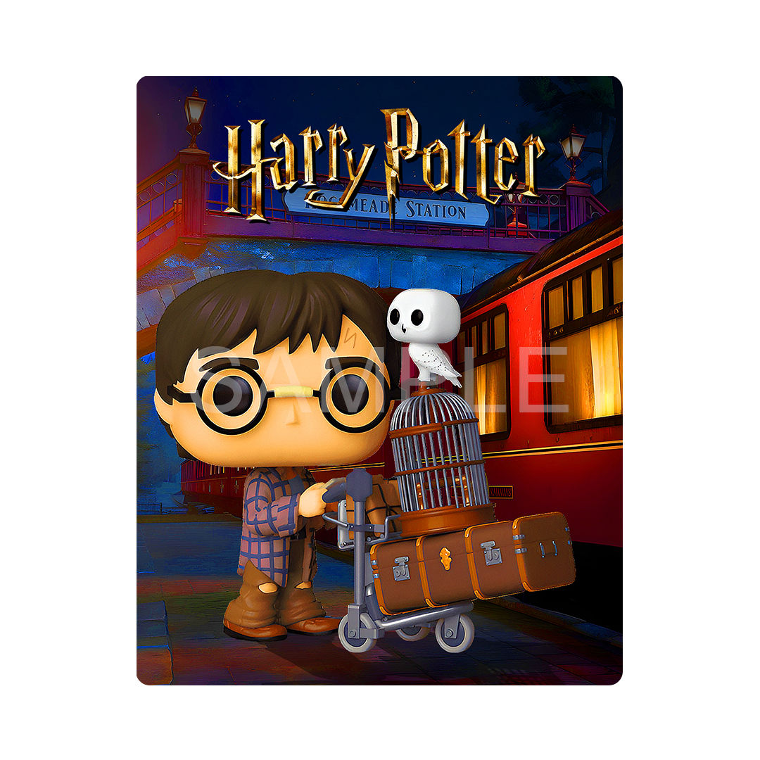 Harry Potter At Hogsmeade Train Station - Geek Art Magnets