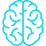 brain.png