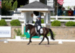 Kamp Kellenbrook Dressage Dreams Week August 11-13