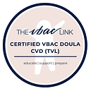 CVD (TVL) Badge Circle.PNG