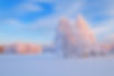 IMG_9672.jpeg