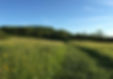 Stockwood-30_edited_edited.jpg