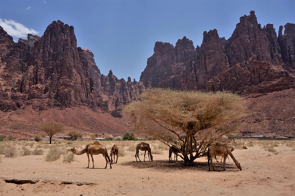 Al Disah Valley, the Grand Canyon of Saudi