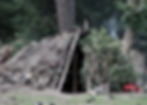 Primitive shelter