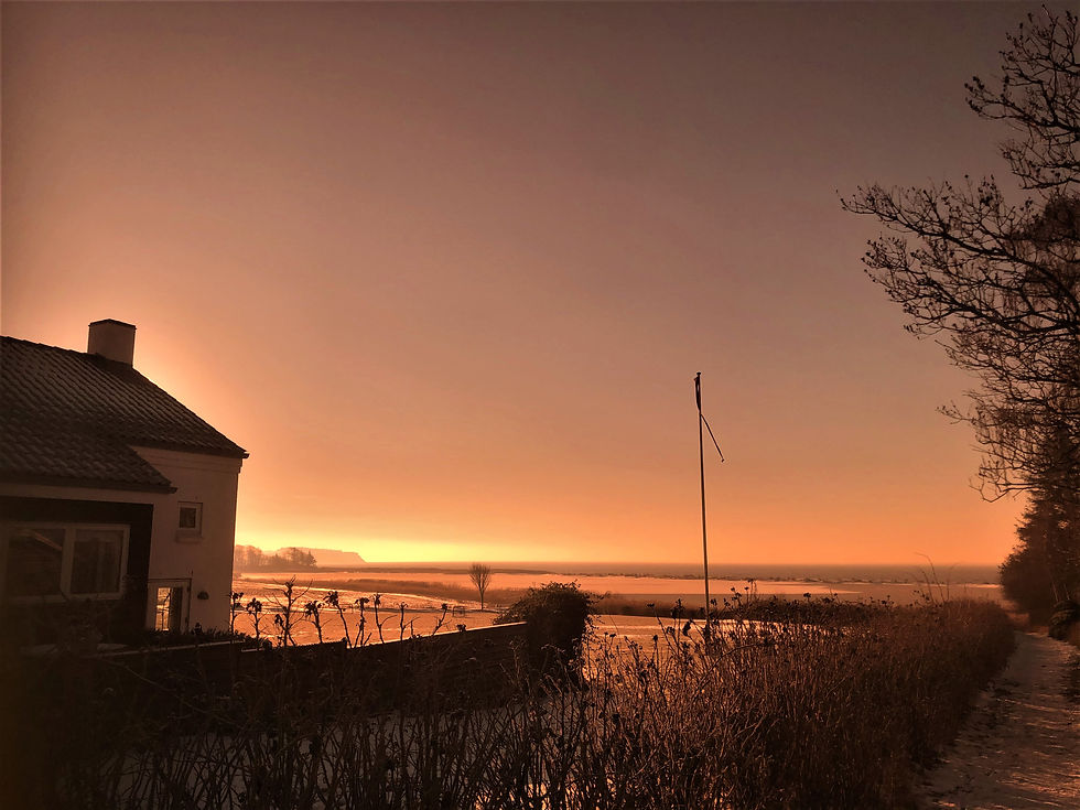 View from Anders' sommerhouse towards Sønderby Bjerge