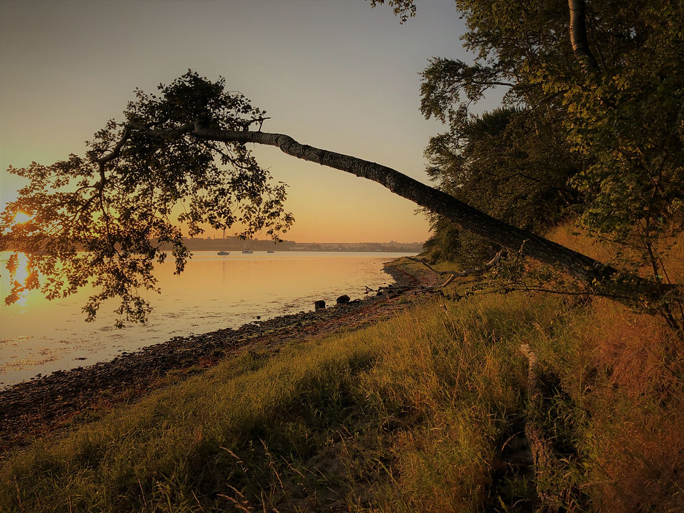 Summer hike around Thorø at 4:45 AM