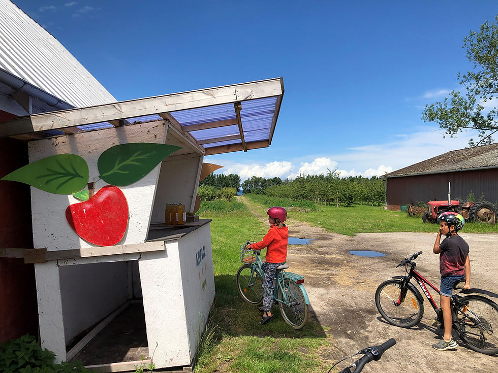 Buying local produce on Lilleø