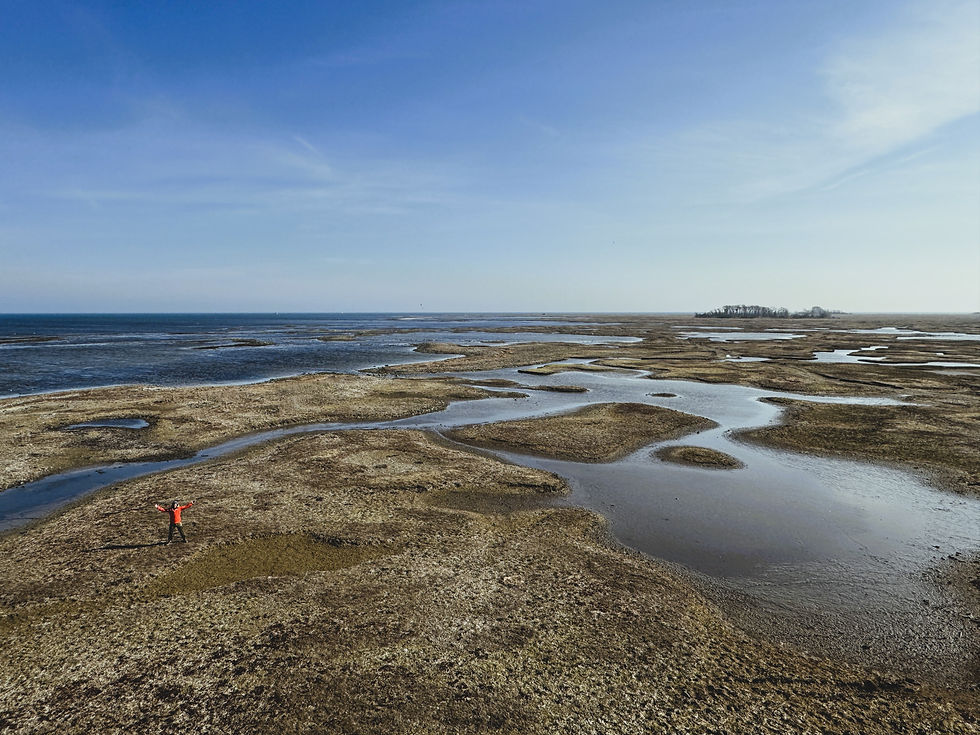 Exploring Saltholm in the Winter time