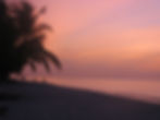 Purple dusk