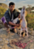 Diksam Plateau