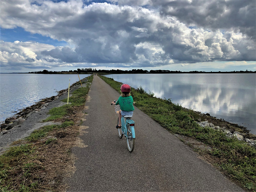 Biking between Askø and Lilleø