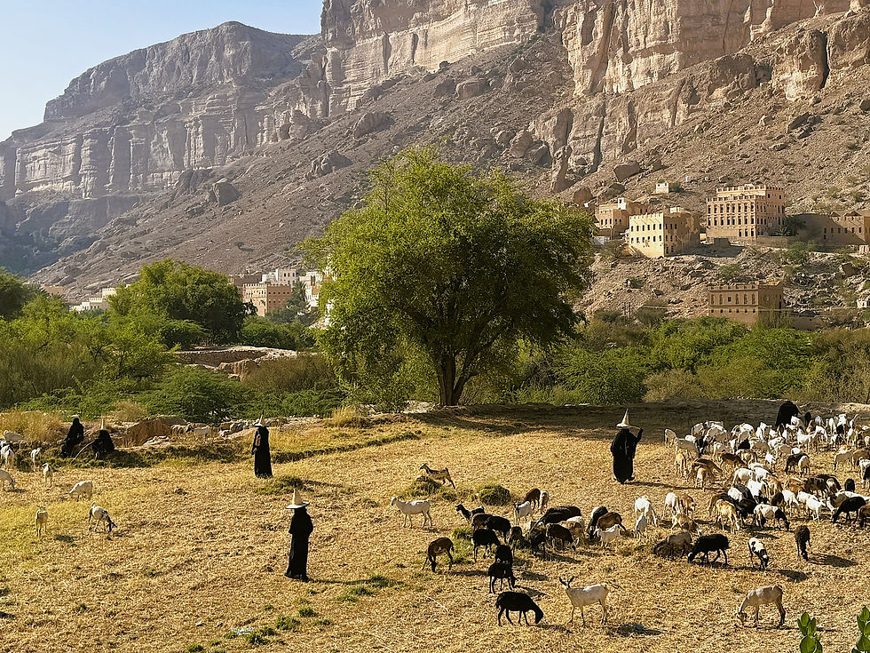 Local farmers in a small village in the beginning of Wadi Dawan - the females with their distinctive