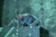 AdobeStock_106582883.jpeg