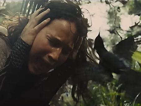 To Hear a Mockingjay Scream