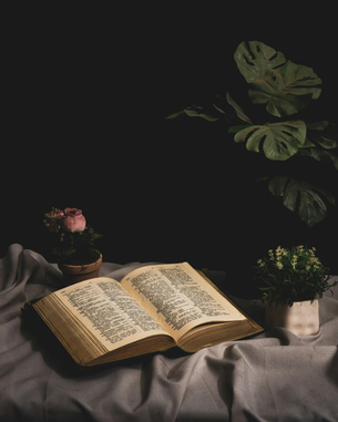 I get JOMO (joy of missing out) more than I get FOMO (fear of missing out).