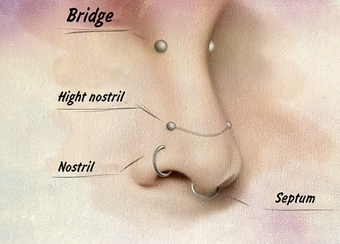 Types of nose piercing