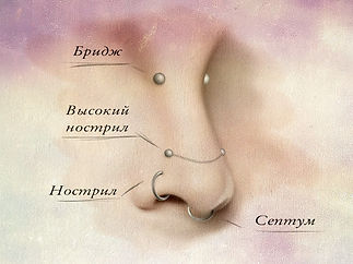 Типы пирсинга (проколов) носа