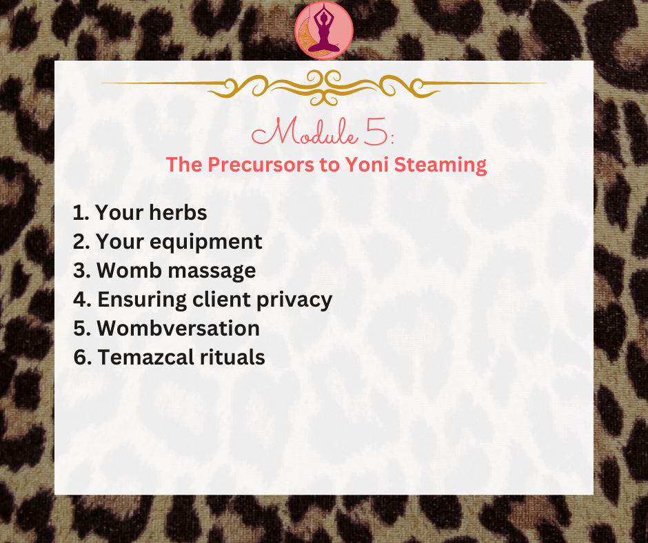 Thumbnail: Birth Worker Yoni Steaming Facilitator Training/Certification