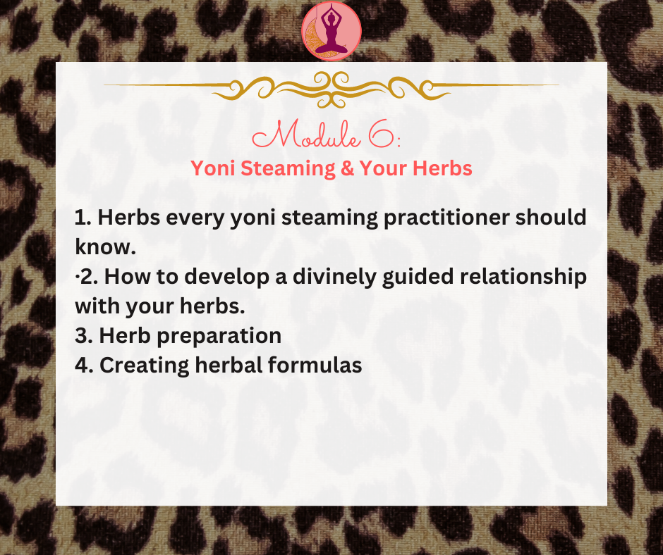 Thumbnail: Birth Worker Yoni Steaming Facilitator Training/Certification