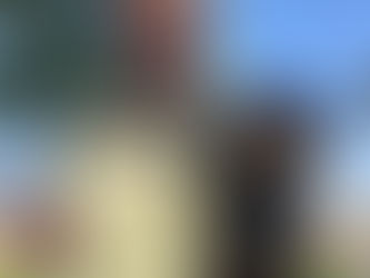 Fara auf Erfolgskurs