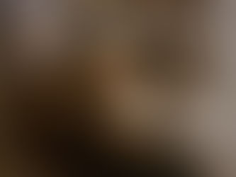 Wurfmeldung im Zwinger "vom Fallenbach"