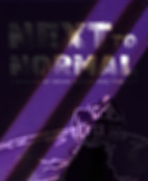 N2N BASE ART_edited_edited.jpg