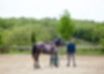 _MG_2263Lot