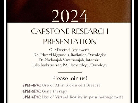 AVS Academy Capstone Project Presentations