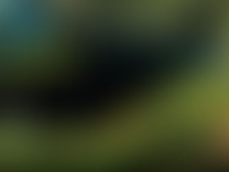 Ireland Returns to the Carnegie Science Center