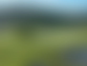 6th Annual ATP Golf Tournament  Join former Pittsburgh Steelers Jon Kolb and our Honorary Chairman John Banaszak, along with their teammates on Monday, July 28th at Treesdale Golf & Country Club for a day dedicated to supporting Adventures in Training with a Purpose (ATP). Visit https://www.adventurestraining.org/event/for details.