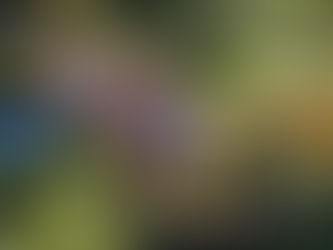 Eat Your Backyard—Foraging and Cultivating Unusual Edibles