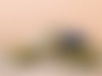 Despite Popularity, Cannabis Inequities Remain Unaddressed