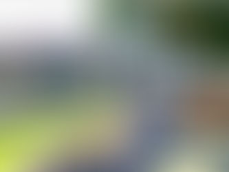 Aspinwall: A Charming, Riverfront Community