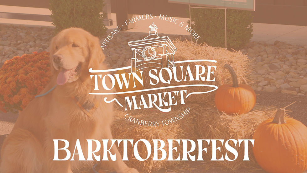Pups are taking over the Town Square Bark-et for the annual Barktoberfest celebration!