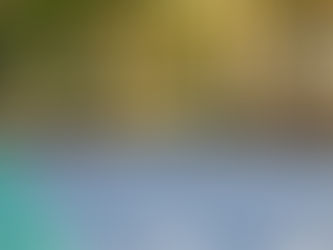 Paddle Tennis Perfect for Racquet Sports Beginners